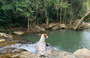 Casa da Cachoeira Siriú-SC - Foto 18