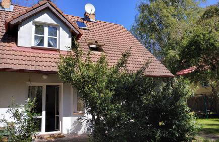 Mandarynkowy - Foto 8