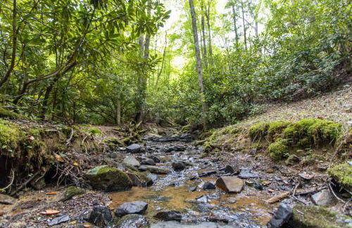 Martins Nest - Foto 36