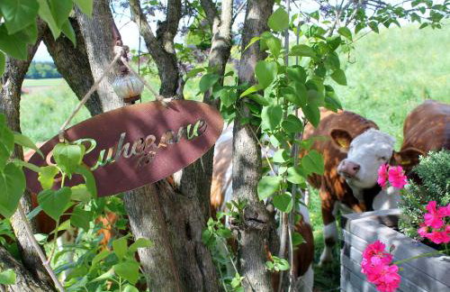 Ferienwohnung Pölzl - Photo 6