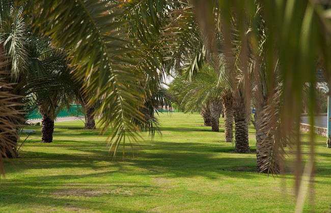 Green Mubazzarah Chalets - Photo 37