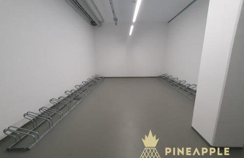 PINEAPPLE APARTMENTS - Penthouse am Zwinger - 162qm - 1x free parking - Foto 27