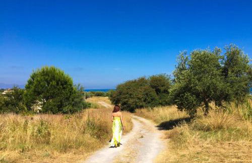 HH SELECTION Emiro - Foto 45