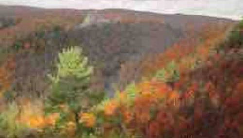 The Cast Iron Lady - Foto 4