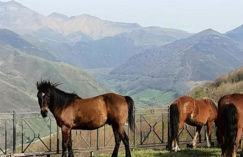 La cabaña mirador de los Valles Pasiegos - Foto 65