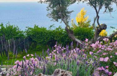 Platanos Villa - Foto 5