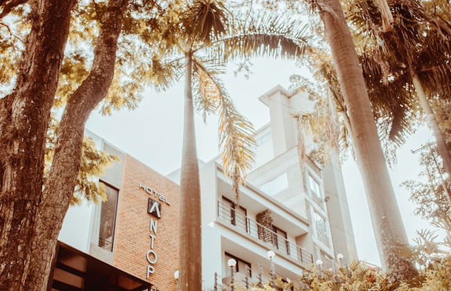 Antope - Apartaestudios - Photo 64