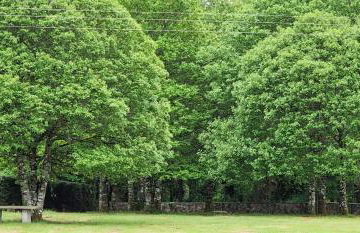 Habitaciones La Cuevona de Guitiriz,Parga, en el camino norte Lugo - Photo 127