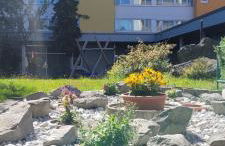 Anna Altreichenau - Foto 45