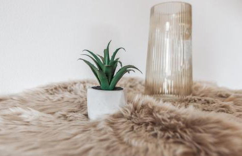 Königsblick Poppler - Foto 15