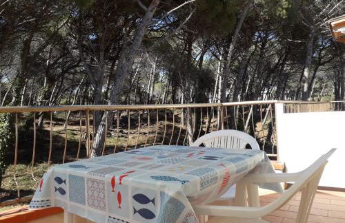 Bibbona Summer - Pineta 1 - - Foto 20