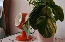 Maison Retrò Napoli - Foto 25