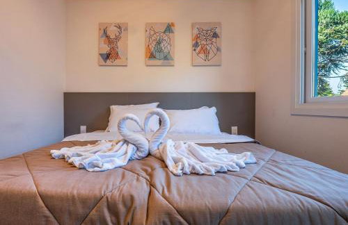 Bernhard Wolff 104 - Photo 37