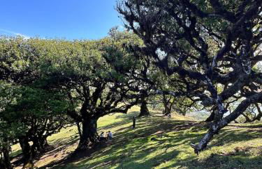 The Green Valley House II - Foto 55