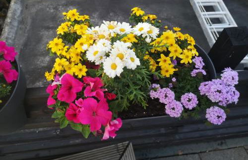 Dorfschule Mollseifen - Photo 9