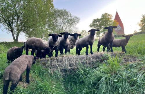 Ferienanlage Gutshaus Gramkow - Foto 41