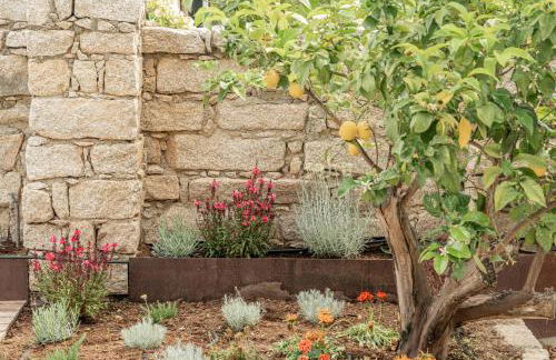 Villa dell'800 con Jacuzzi Privata - San Pantaleo - Foto 44