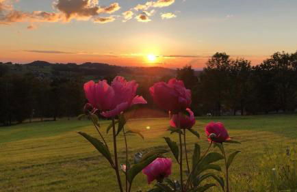 Heavenly Loft Allgäuer Fillebänkle - Foto 8
