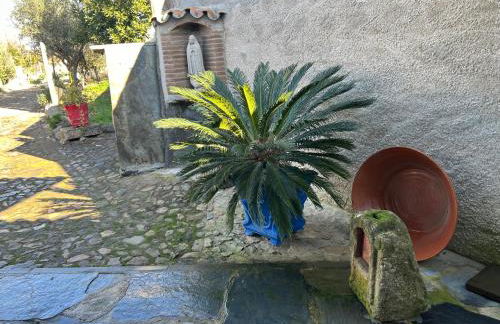 Casa dos Avós - Foto 17