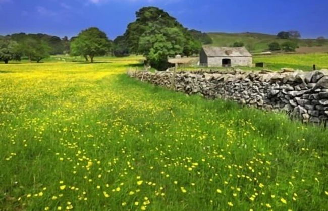 Linton Court Coach House - Photo 38