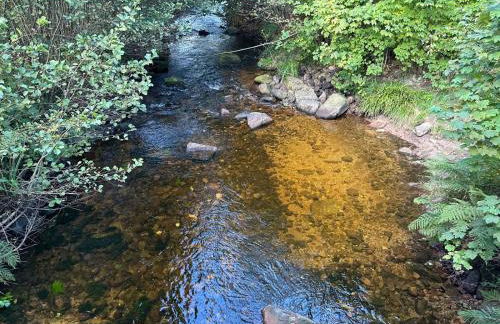 Schwarzwaldhaus Zwink - Foto 21