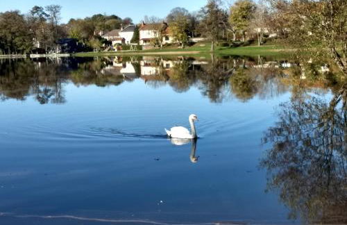 gite iza familiale Morvan - Foto 22