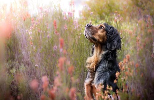 Comfortable Holiday Apartment With a Lake View - Foto 69