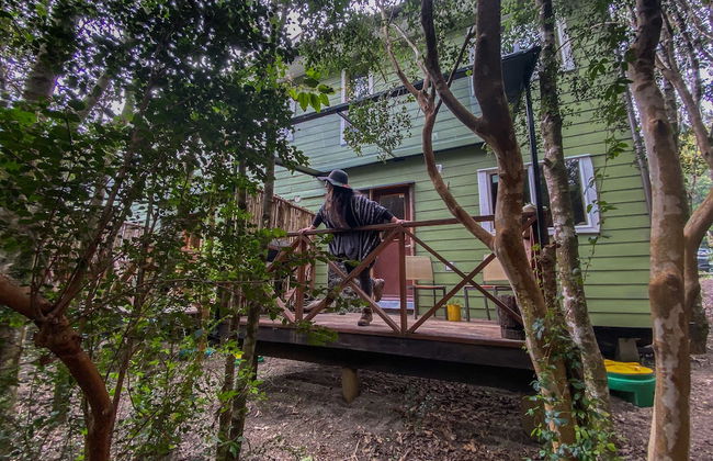 Cabañas Ensenada Bosque Nativo - Foto 48