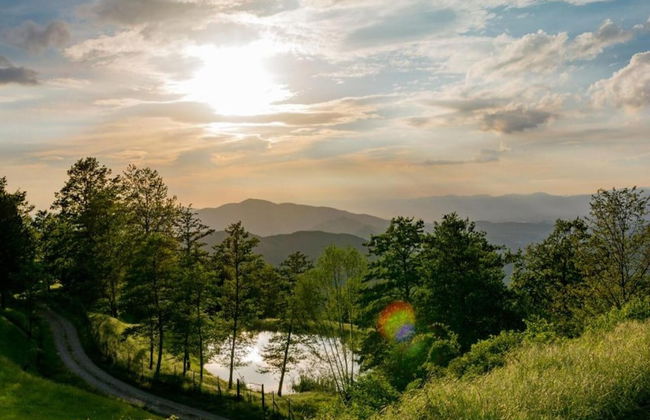 Agriturismo Poggio di Montepescoli - L'aia - Foto 38