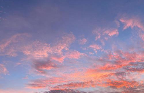 Atelier de Pfalz-Loftstyl mit Pfalzblick - Foto 19