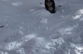 La casa di Noah - Photo 42