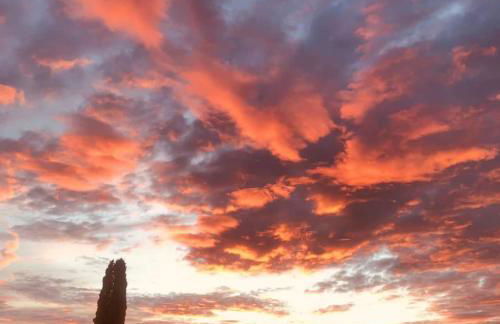 Agriturismo Terra Sabina - Foto 113