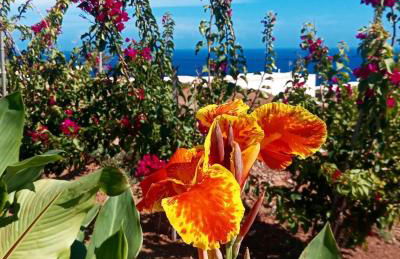 Dammuso Pantelleria - Fiori D'Ossidiana - Foto 55