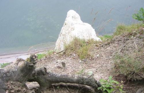 Ferienhaus Gut Rattelvitz Insel Rügen - Foto 1