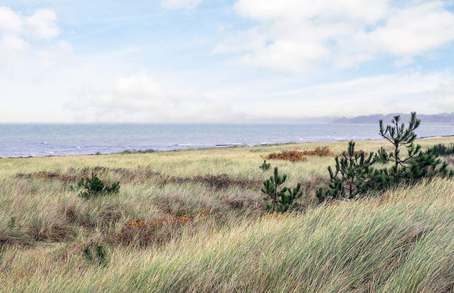 Idyllic Holiday Home in Store Fuglede near Forest - Foto 27