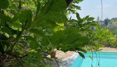 La Luna e i Falò, residenza Torrione - Foto 5, Garden, Garden view