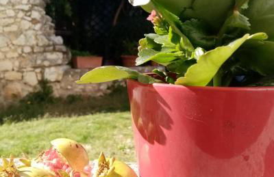 La Casetta - Photo 10