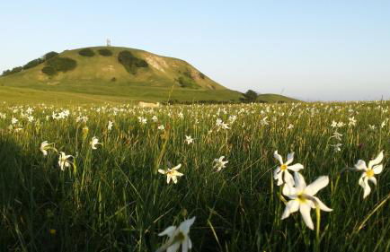 Agriturismo Serracanina - Foto 15