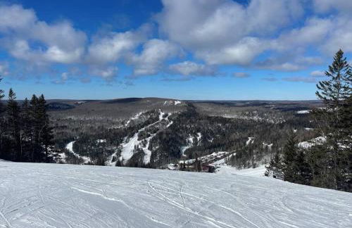 Cozy Townhome at Lutsen Mtn - Ski-in, Ski-out, Pool, Hot Tub, Fitness Center, resort amenities galore! - Foto 45