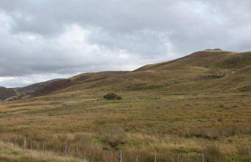 Pet Friendly 1Br Modernised Cottage with Fibre WiFi - Foto 16