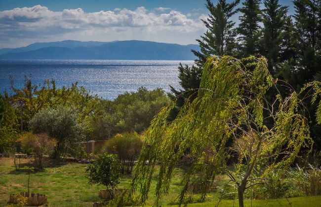 Driftwood Villa - Foto 48