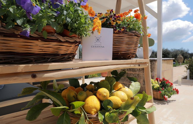 Tenuta Cesarina - Photo 23