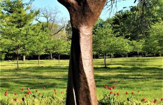 Chic 2BR near DT, 8 min walk to Park&Conservatory - Foto 11