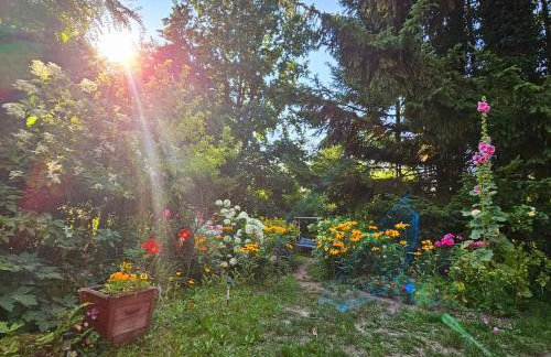 Dom Warmiński - Foto 26