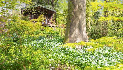 1 Bed in Milton Abbas oc-w32019 - Foto 1, Other