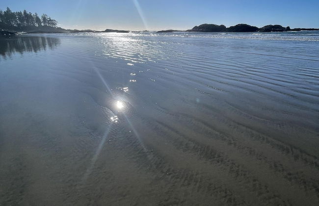 Love Shack - Photo 13