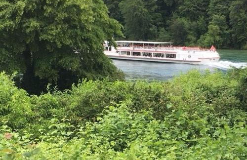 GreenHolidays - Foto 30