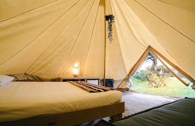 Torquay Foreshore Caravan Park - Foto 37