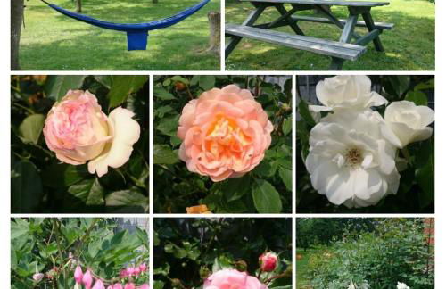 Ferienhof am Deich - Foto 11