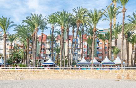 Apartamentos La Rosita Old Town - Foto 86